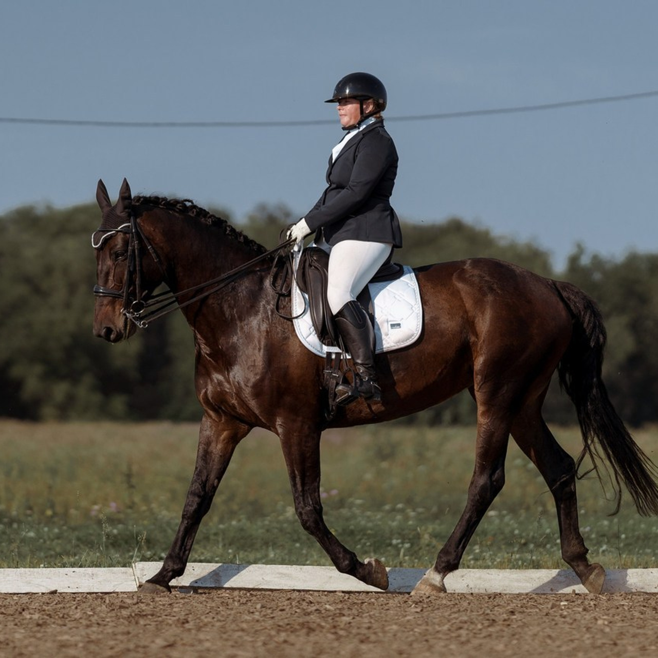 Отзывы. Фотограф Артемьева Катерина|фотосессии с лошадьми