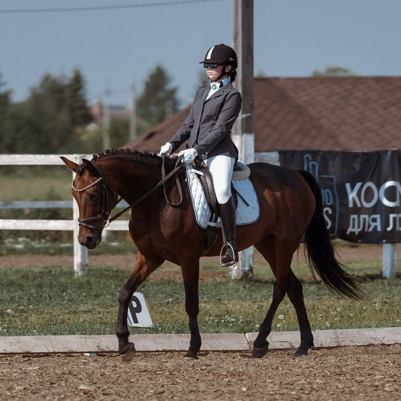 Отзывы. Фотограф Артемьева Катерина|фотосессии с лошадьми