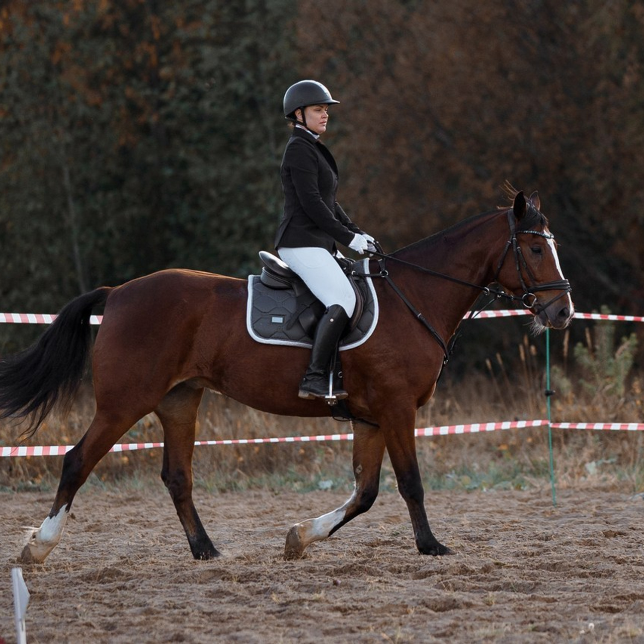 Отзывы. Фотограф Артемьева Катерина|фотосессии с лошадьми