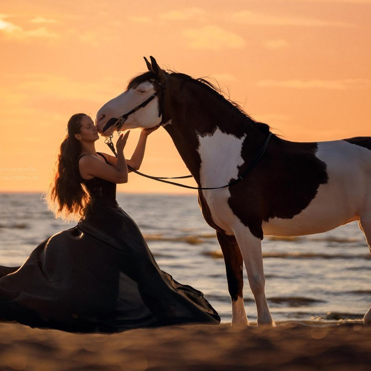 Отзывы. Фотограф в Архангельске Артемьева Катерина