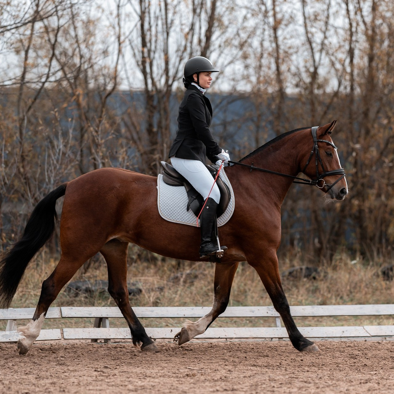 Отзывы. Фотограф Артемьева Катерина|фотосессии с лошадьми