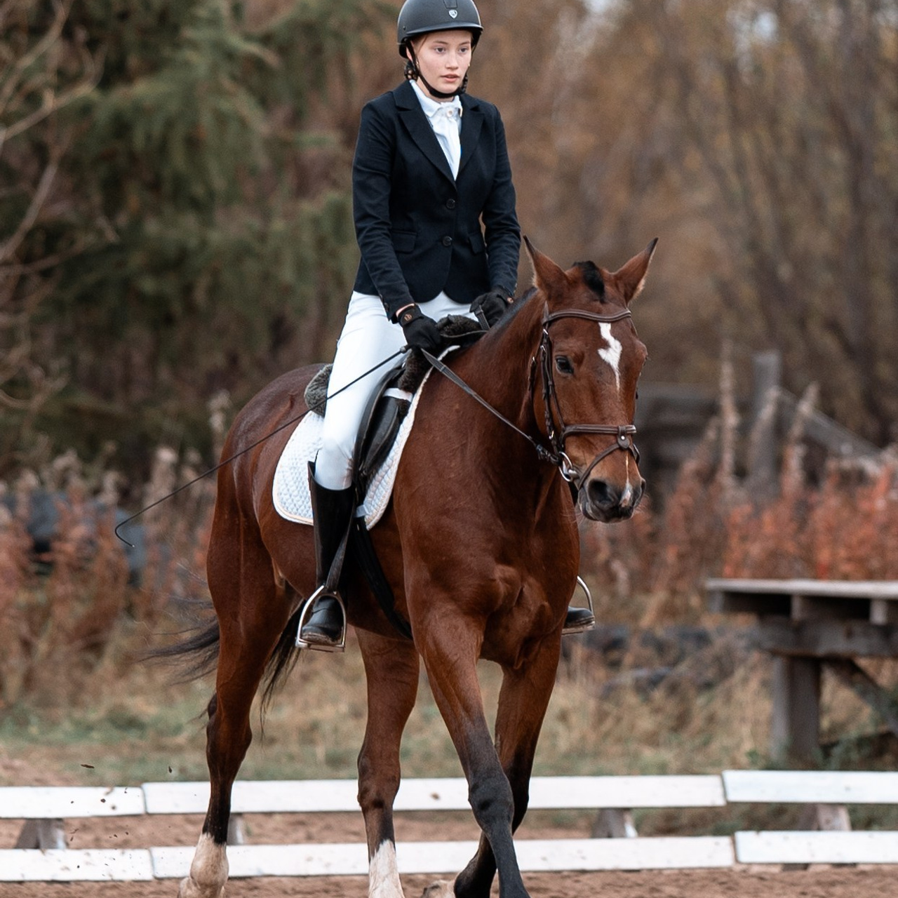 Отзывы. Фотограф Артемьева Катерина|фотосессии с лошадьми