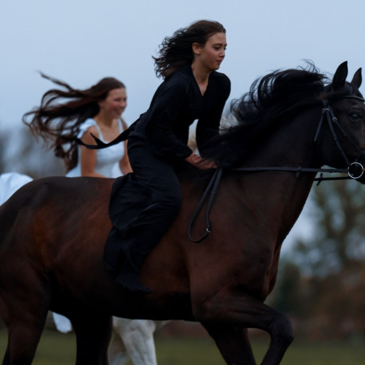 Отзывы. Фотограф Артемьева Катерина|фотосессии с лошадьми