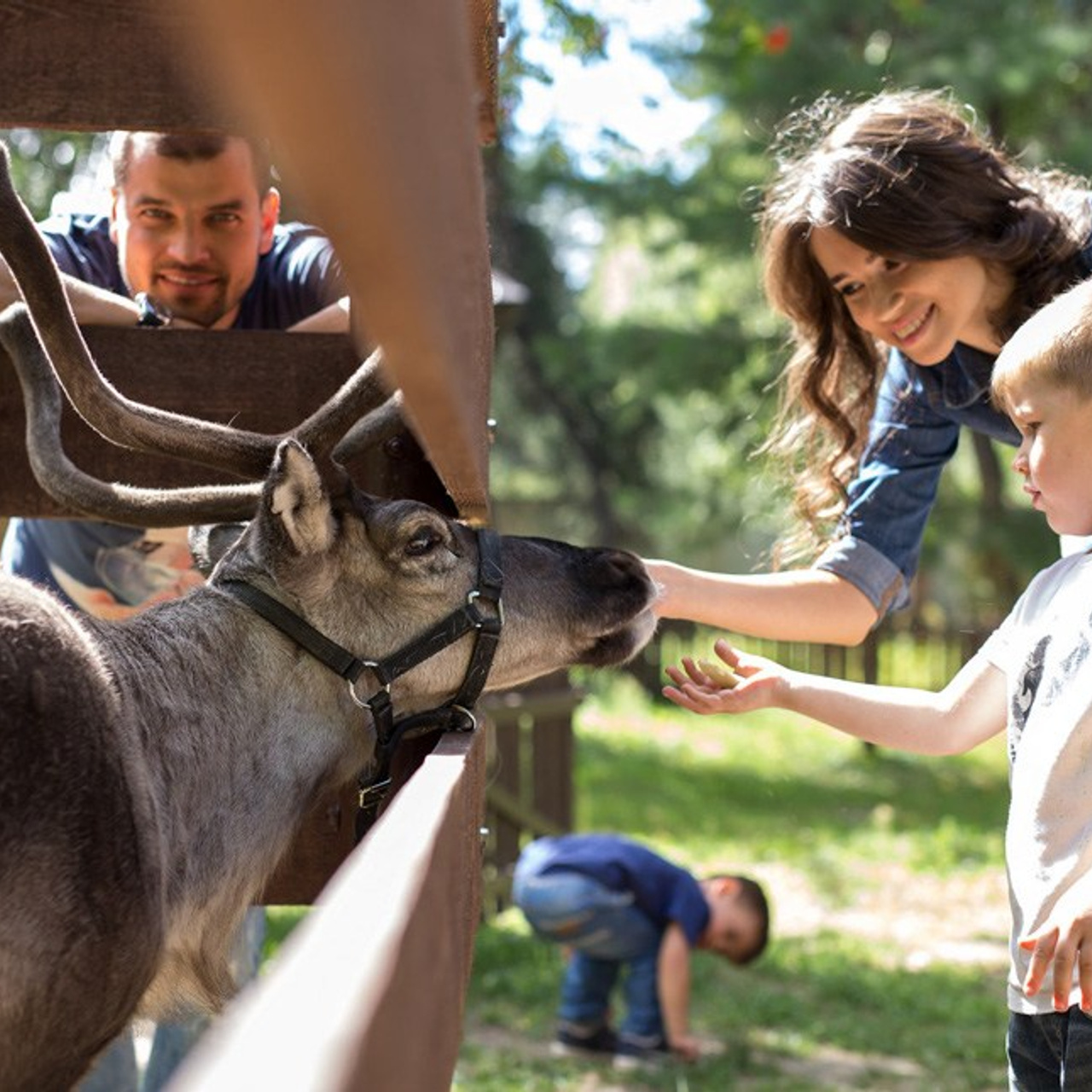 Санаторий «Сосновый бор»