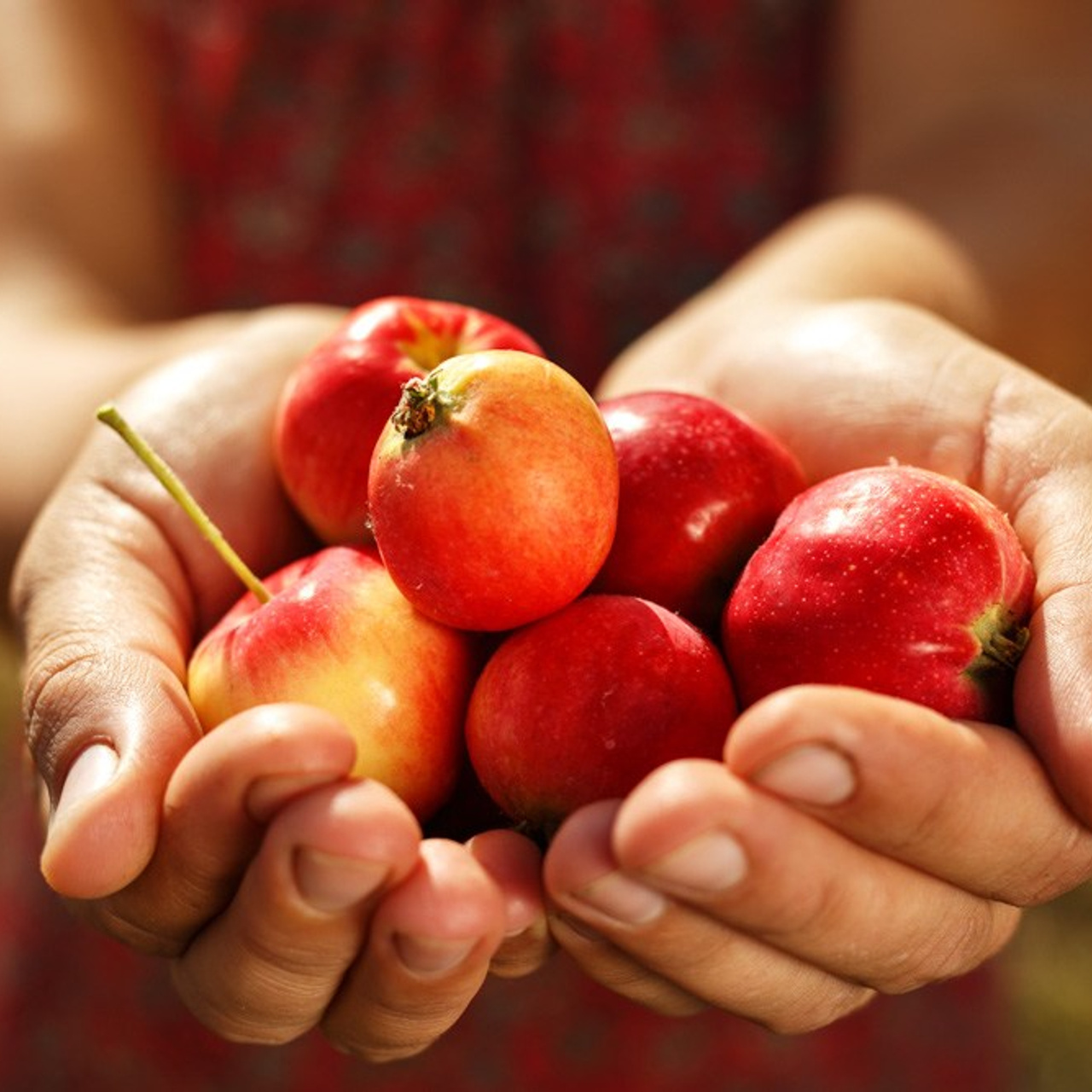 Актанышский район