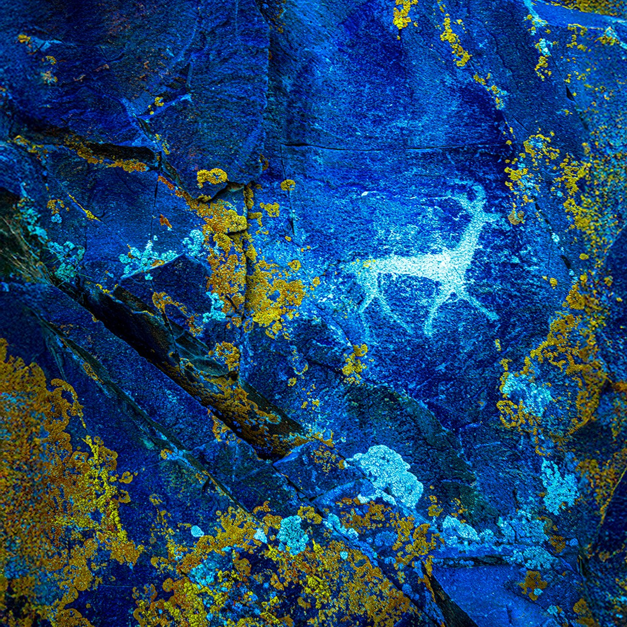 Небесный проводник. Картины о красоте, культурных ценностях и традициях Казахстана