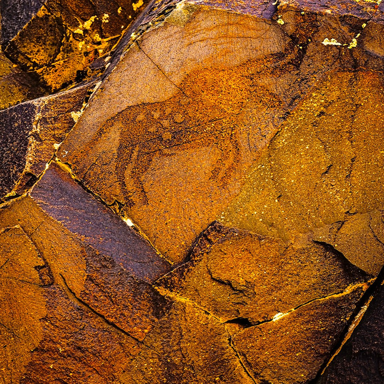 Тур. Картины о красоте, культурных ценностях и традициях Казахстана