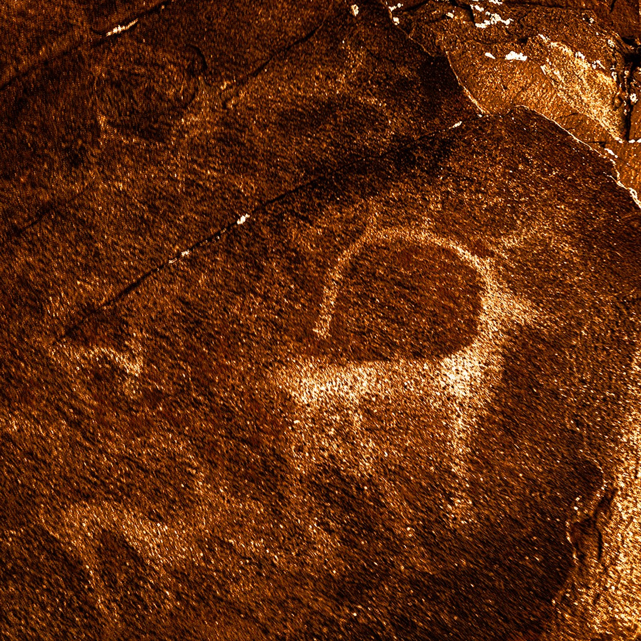 Светлые следы. Картины о красоте, культурных ценностях и традициях Казахстана