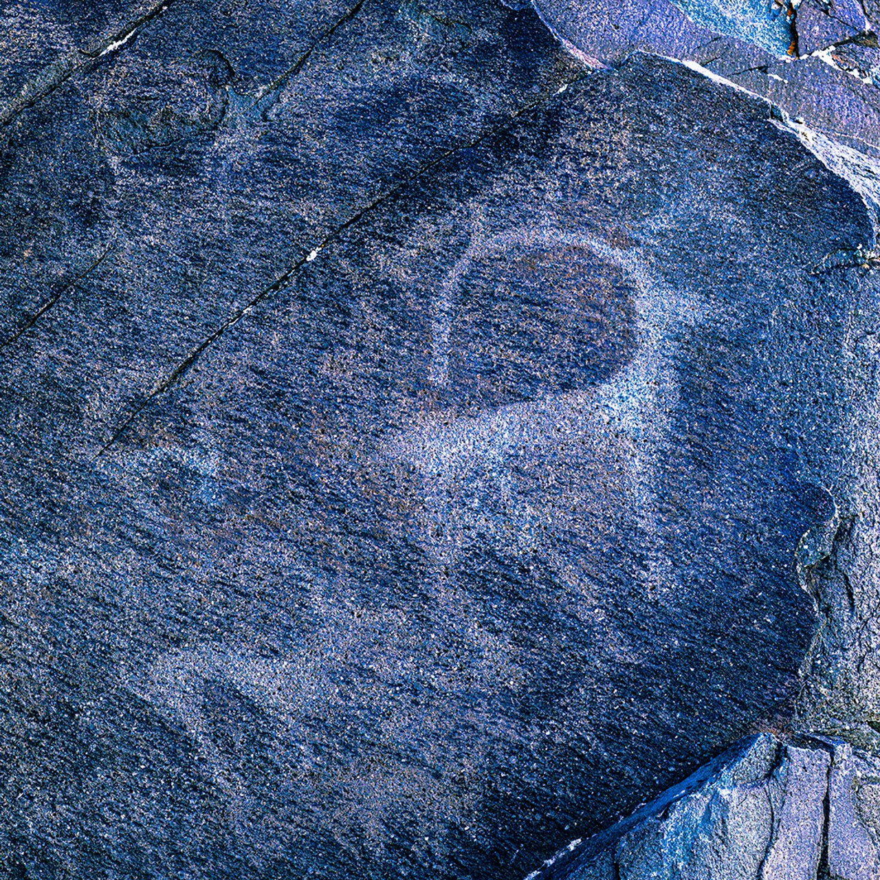 Смотритель. Картины о красоте, культурных ценностях и традициях Казахстана