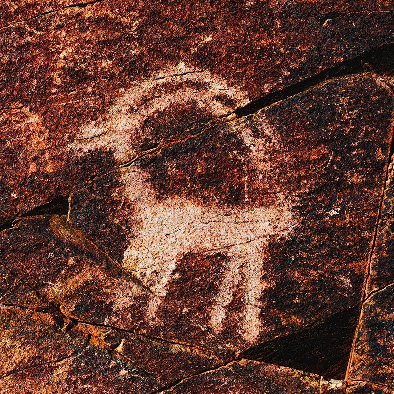 Козерог. Картины о красоте, культурных ценностях и традициях Казахстана