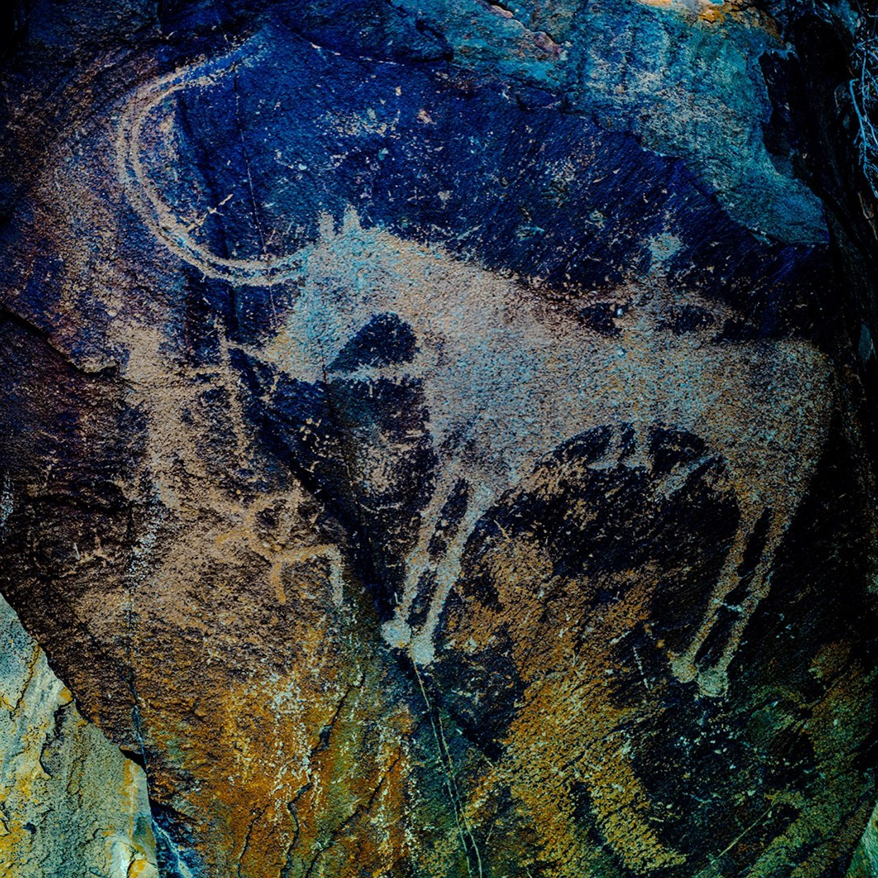 Тотем. Картины о красоте, культурных ценностях и традициях Казахстана