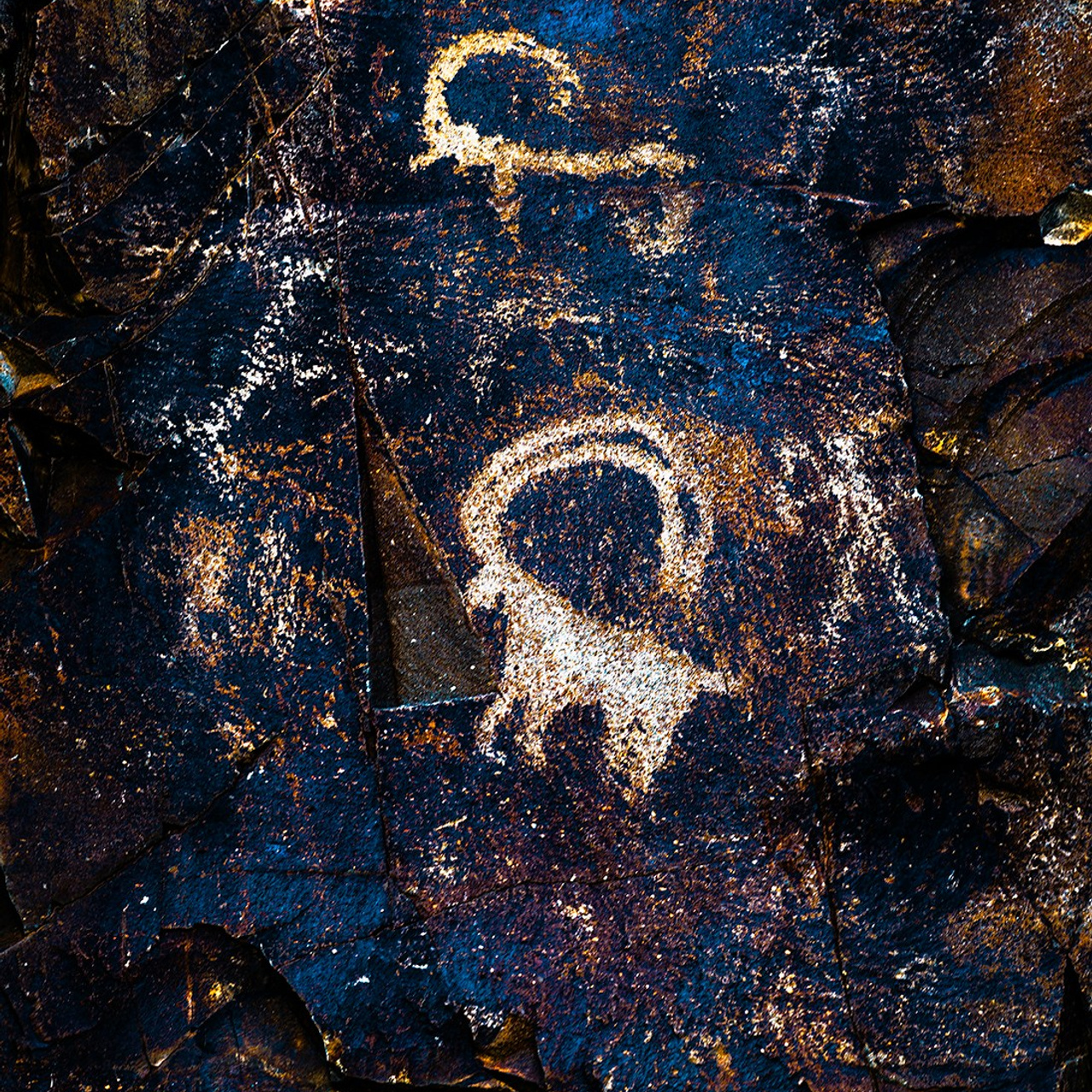 Охота. Картины о красоте, культурных ценностях и традициях Казахстана