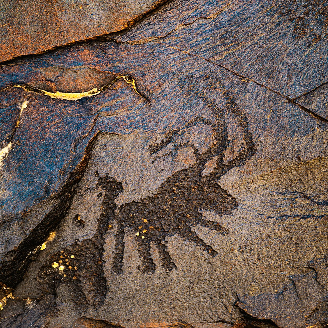 Рождение рода. Картины о красоте, культурных ценностях и традициях Казахстана