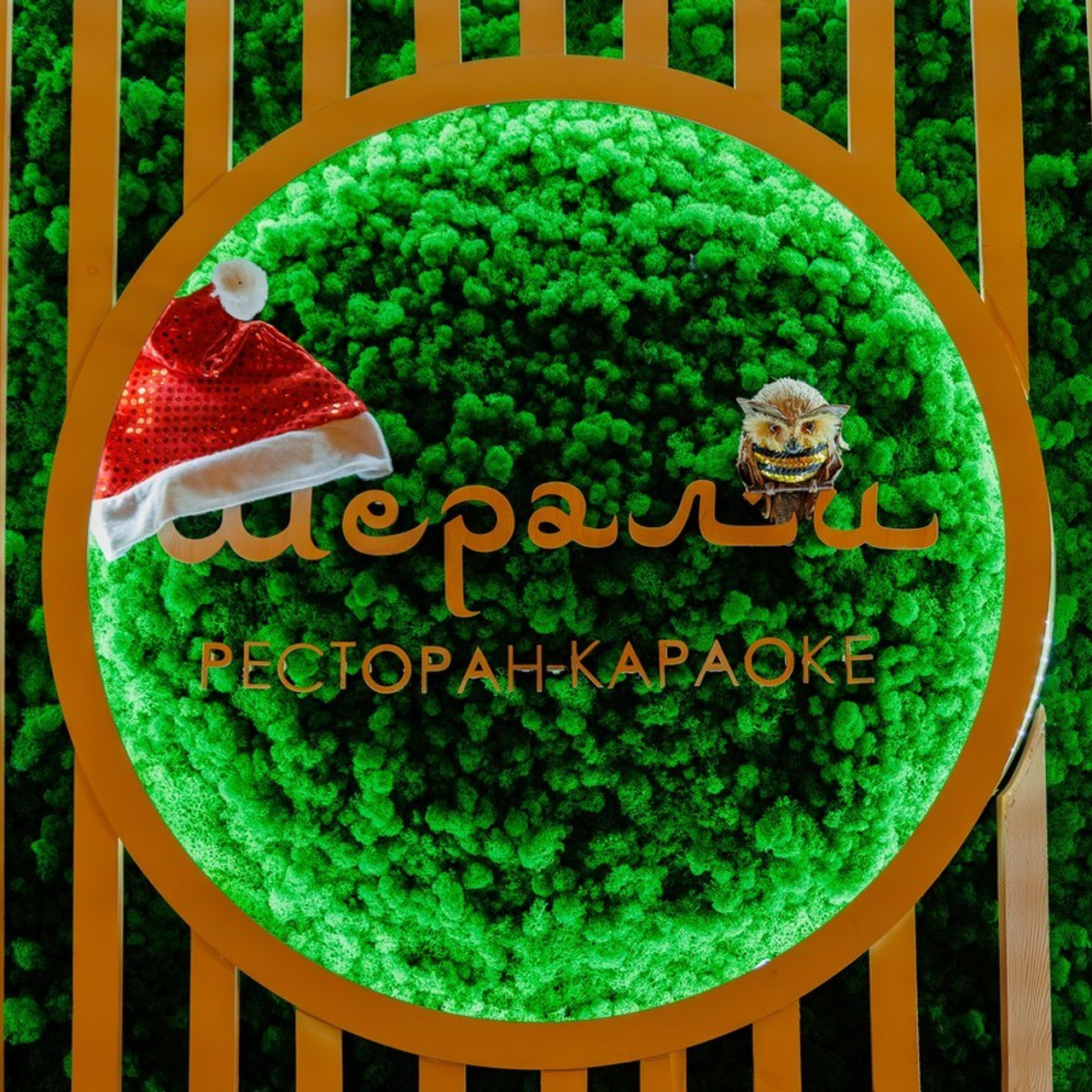 Отзывы. Андрей Черёмушкин | Репортажный Фотограф в Хабаровске