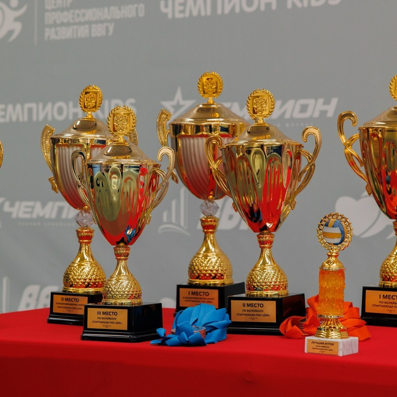 Отзывы. Андрей Черёмушкин | Репортажный Фотограф в Хабаровске