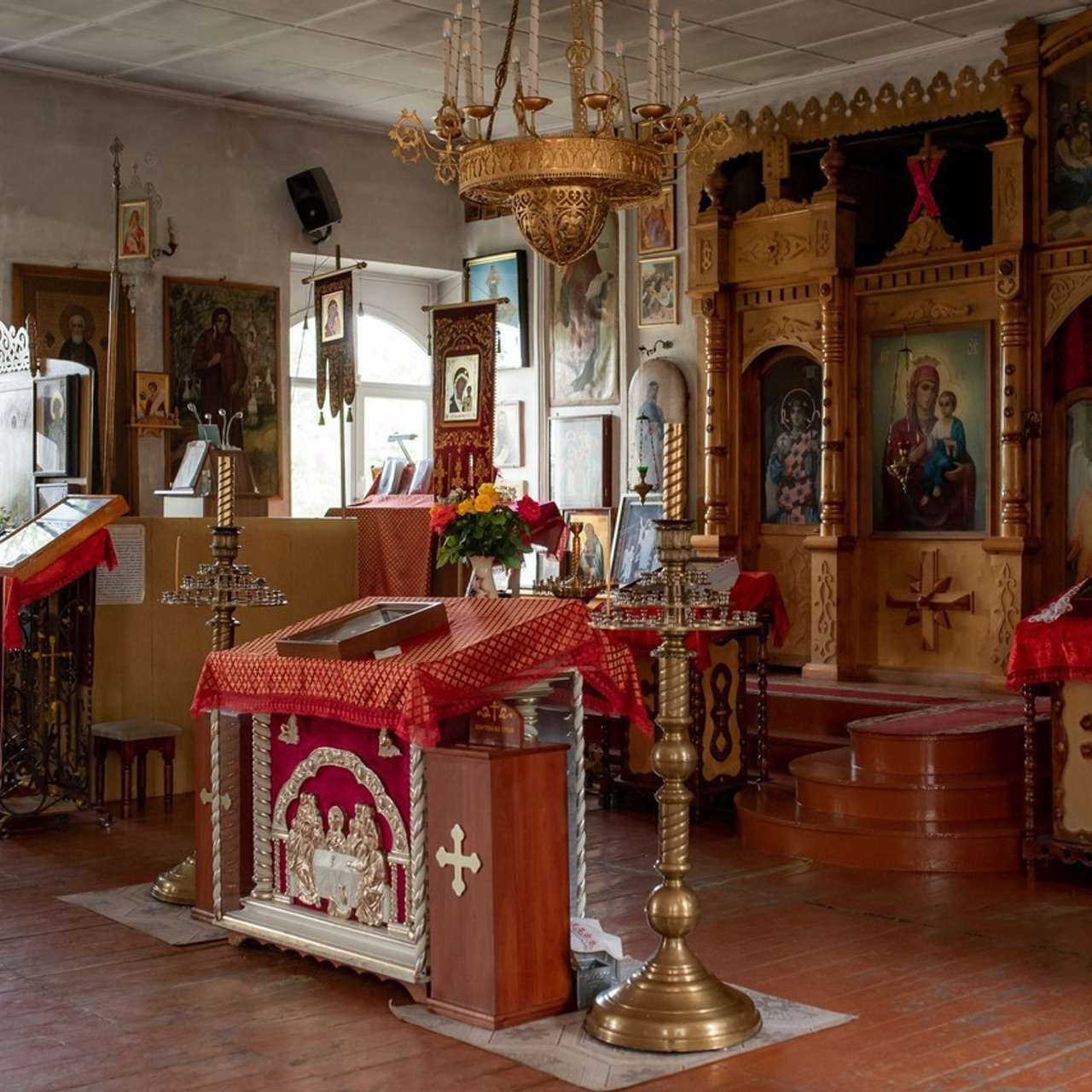 Отзывы. Семейный и детский фотограф Наталья Горда