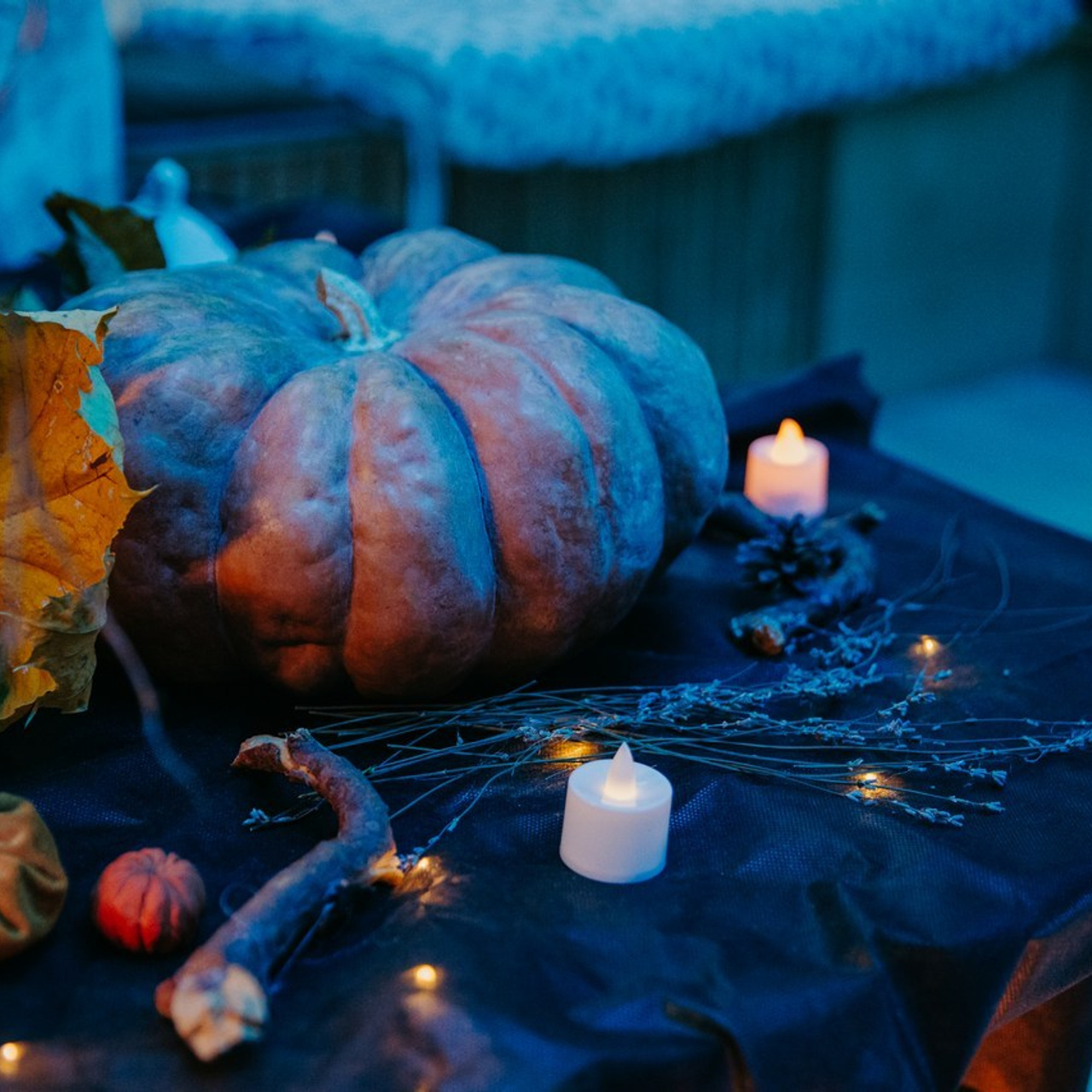 Отзывы. Семейный фотограф Анастасия Паршикова