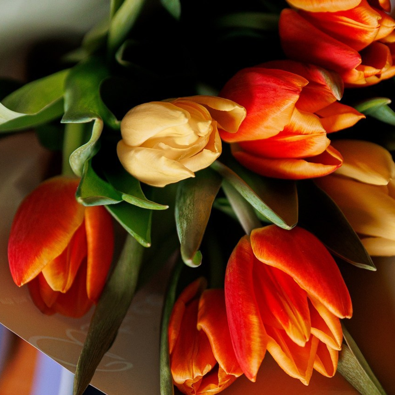 Отзывы. Свадебный и репортажный фотограф в Ярославле Евгений Шовдин