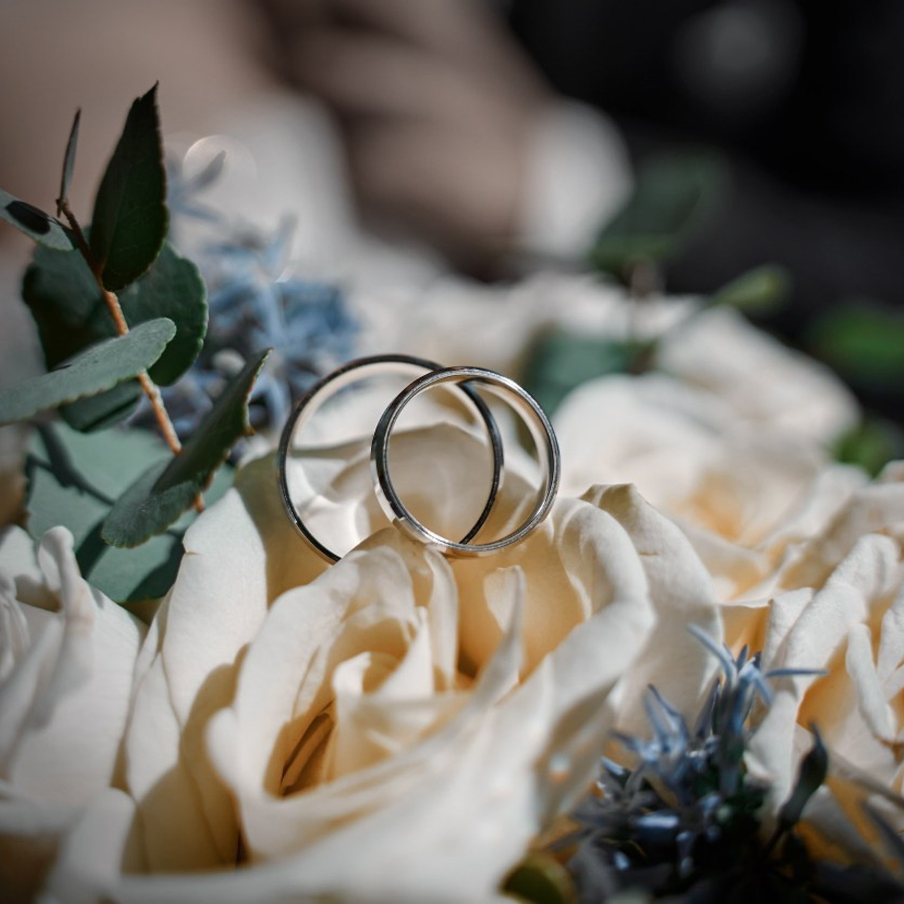 Отзывы. Профессиональный фотограф в Воронеже Владислав Крылов