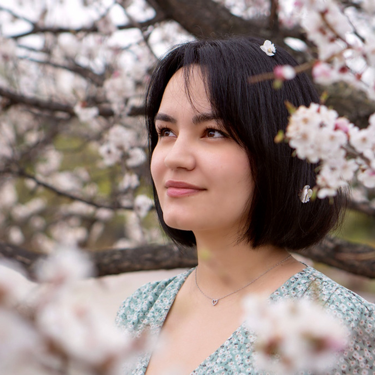 Ольга в цветении (форзиция, вишня)