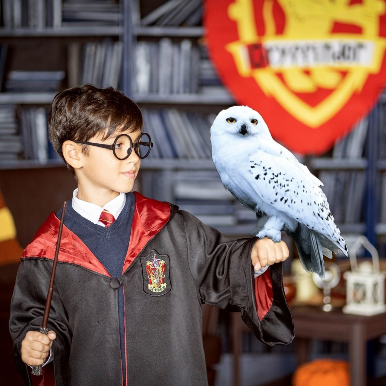 Хэллоуин и Рождество в ХОГВАРТСЕ