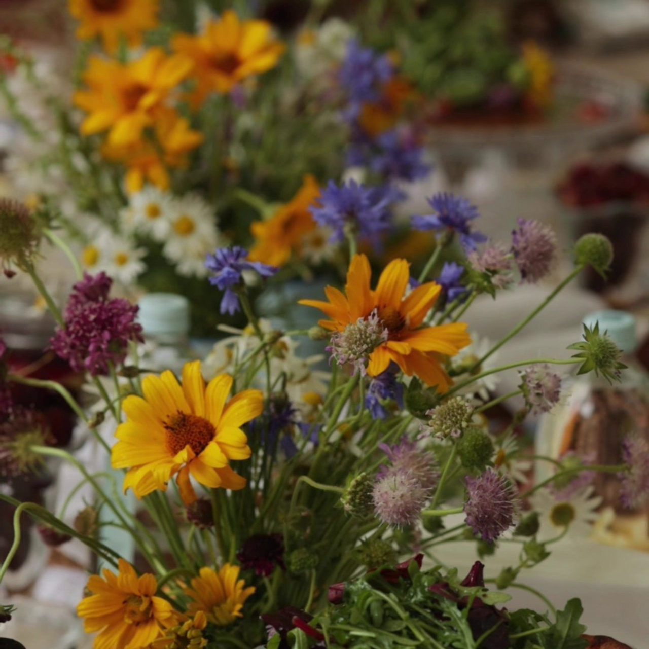 Отзывы. Фотография о важном