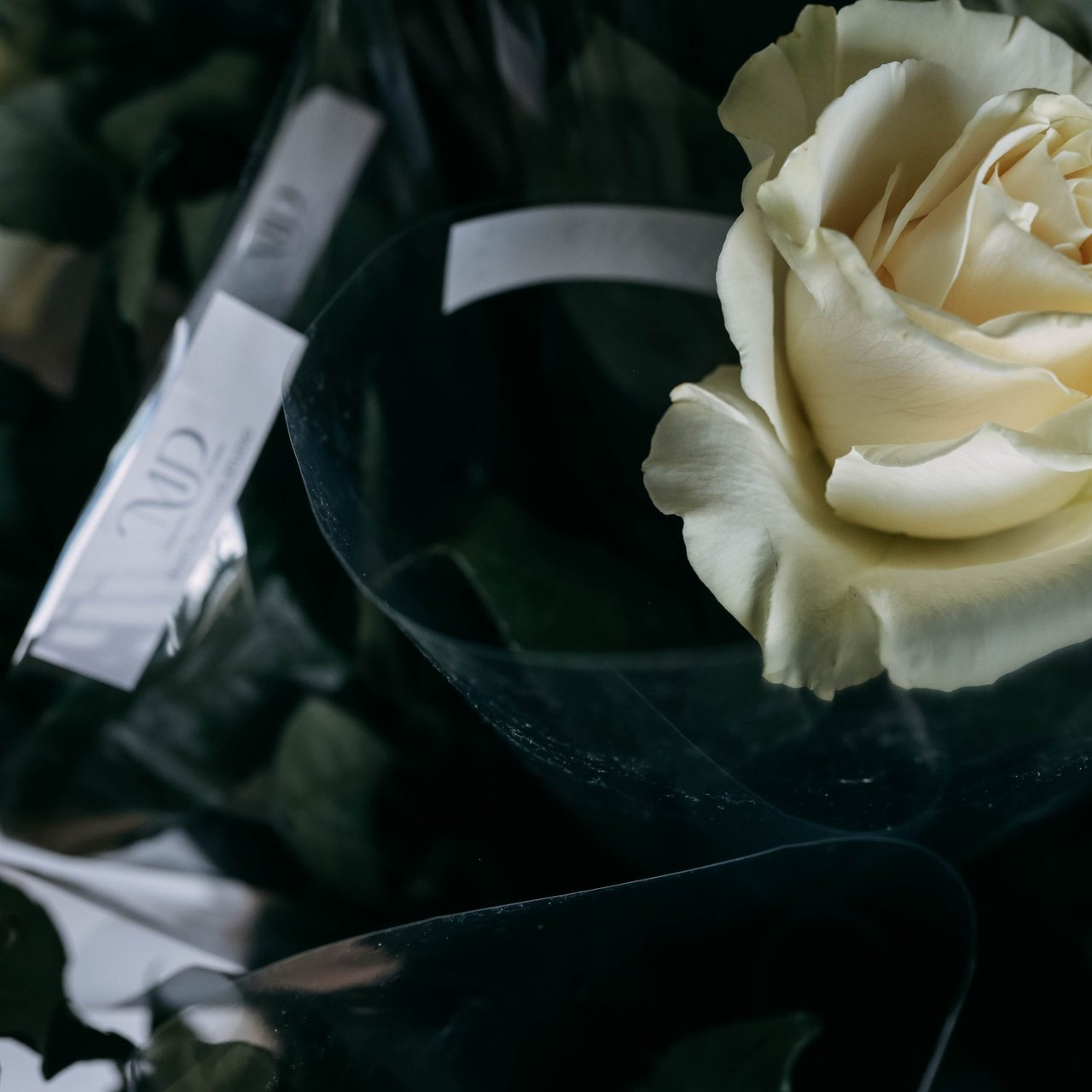 Отзывы. Надя Романова — портретный фотограф в Москве и Зеленограде