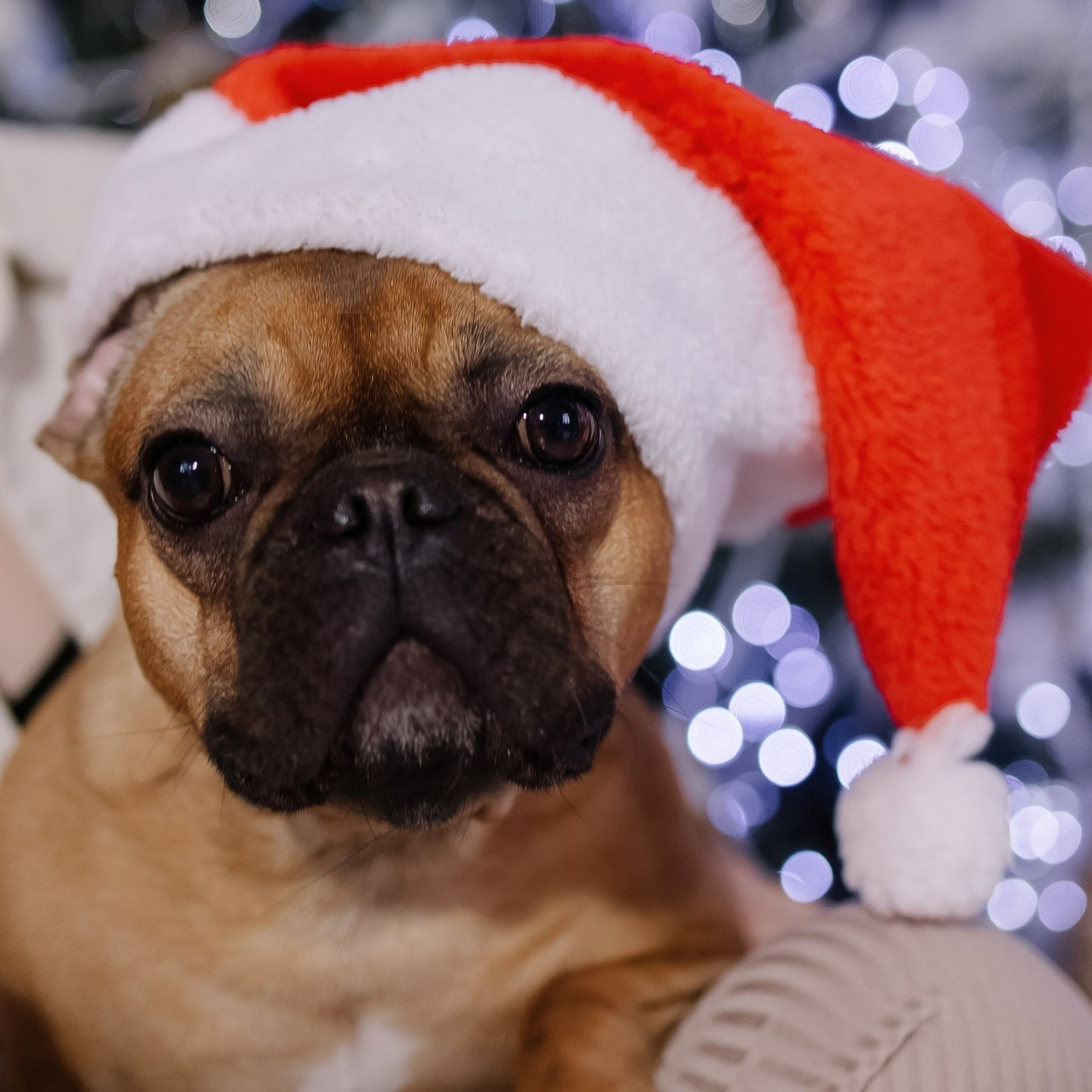 Отзывы. Свадебный фотограф