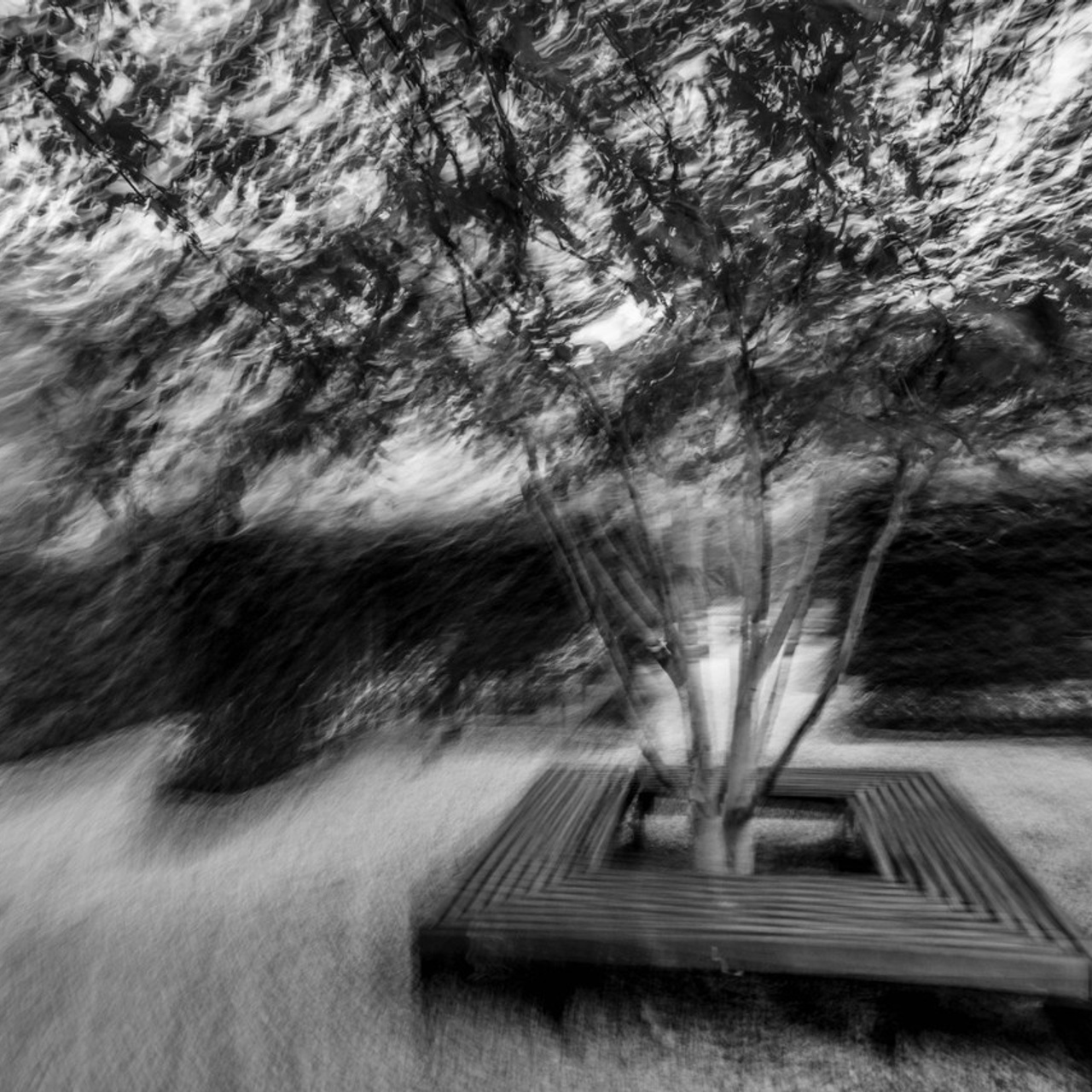 Отзывы. Federico Pinholio / photographer