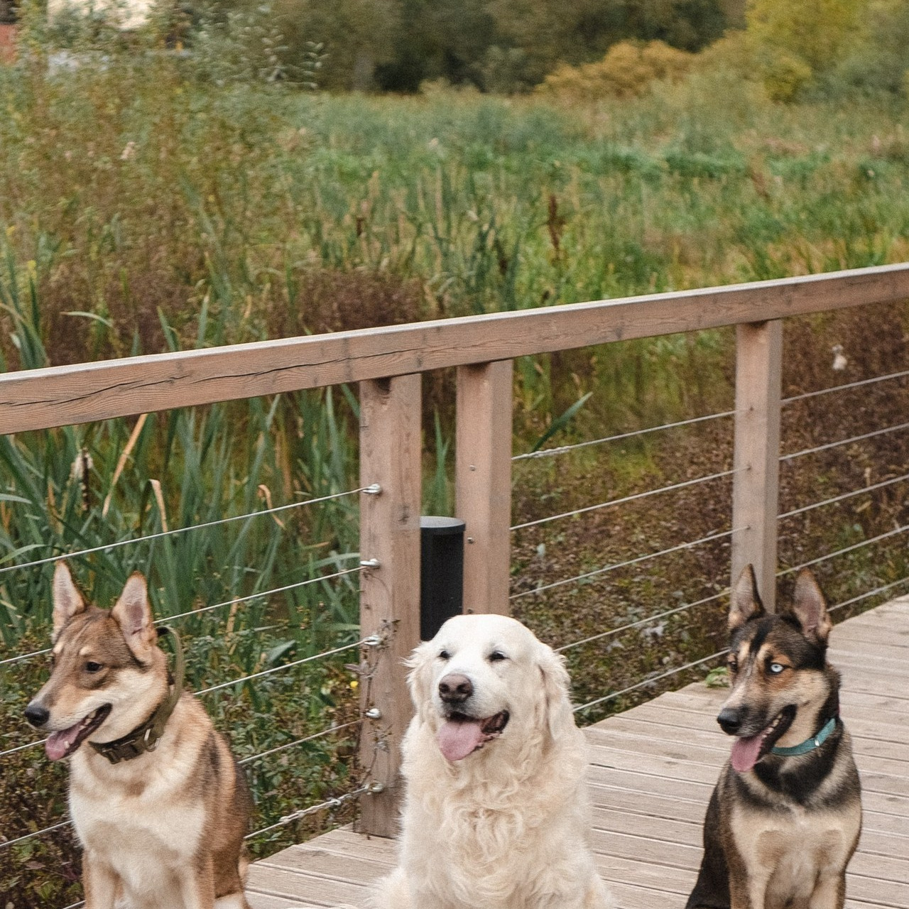Отзывы. Фотограф Москва / Дарья Русинова