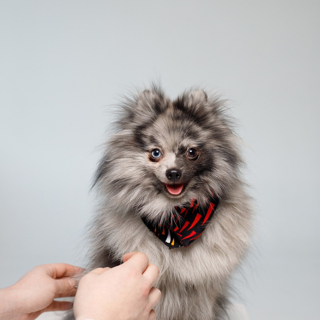 Подарочный сертификат на фотосессию это идеальный подарок. Фотосессии в Петербурге. Подарочные сертификаты на фотосессию