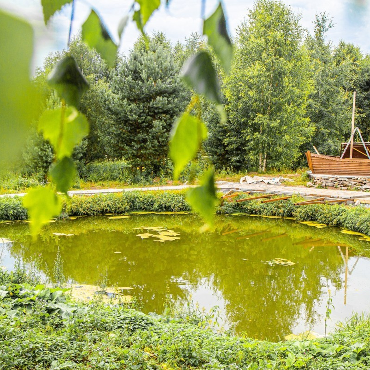 Отзывы. Авторские туры с профессиональным фотографом