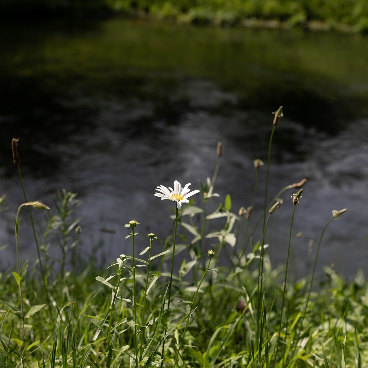Отзывы. Александра Пылёва. Фотограф. Москва