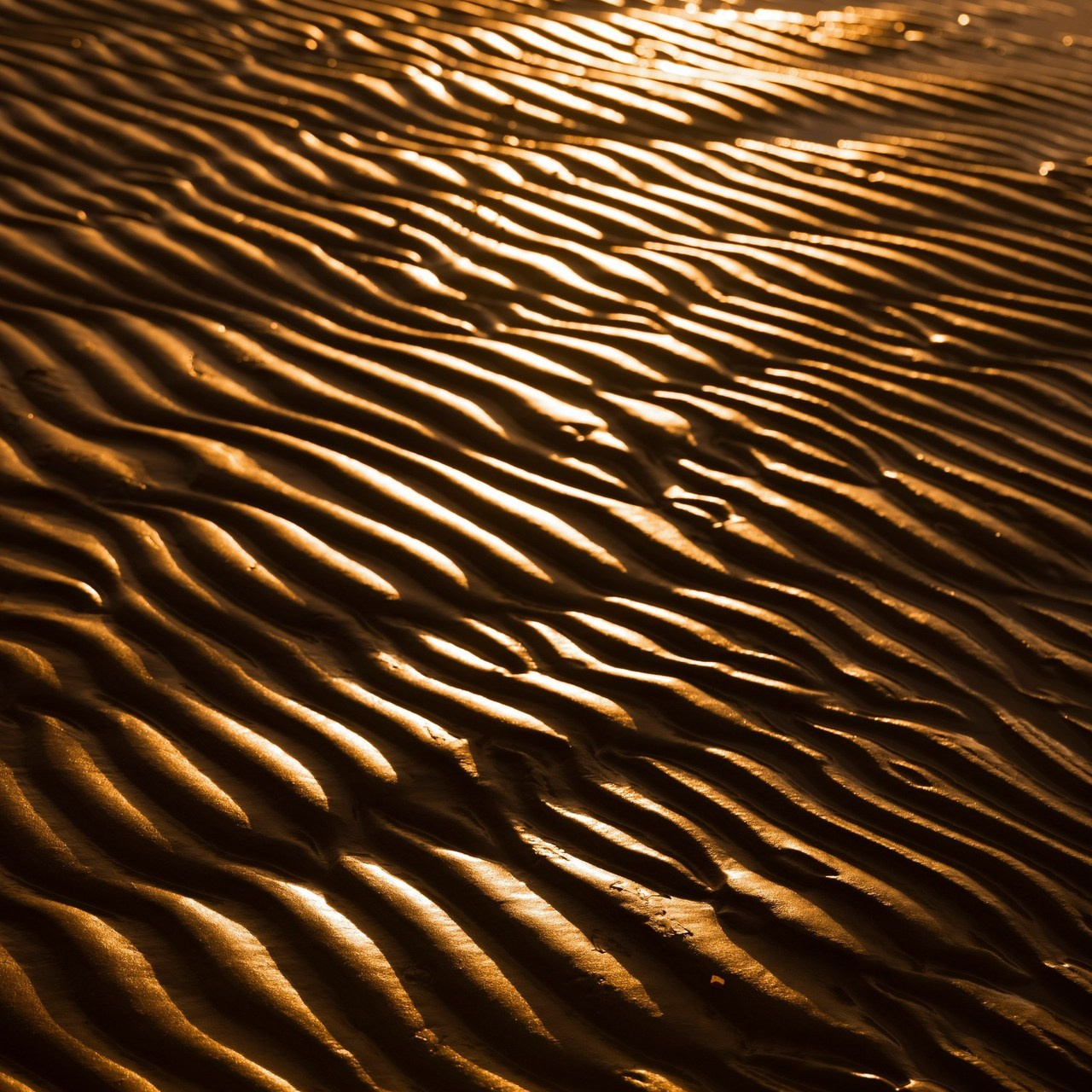 Отзывы. Свадебный и портретный фотограф