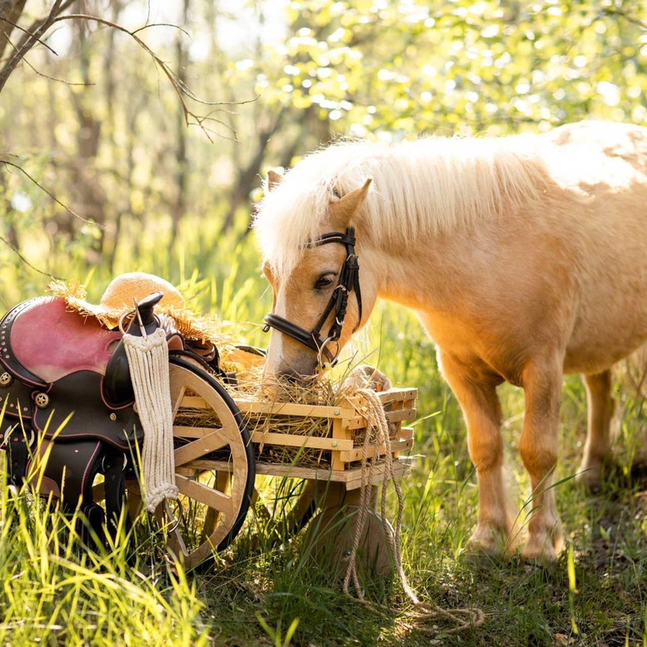 Отзывы. Фотограф Наталья Изюмова