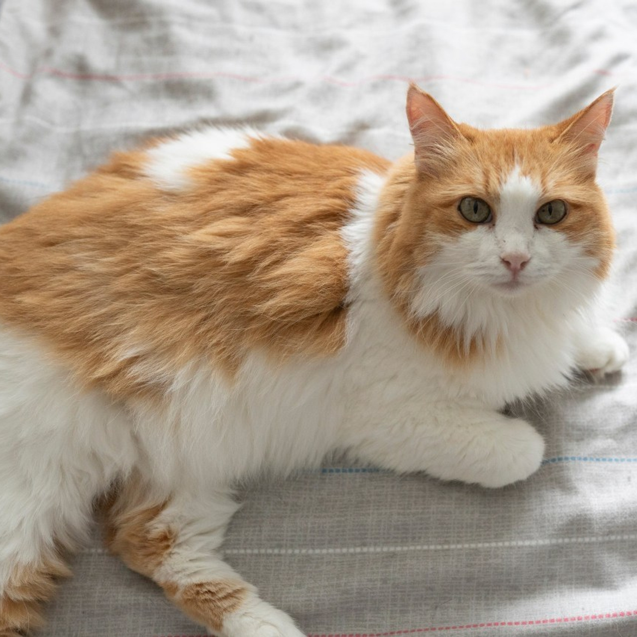 Отзывы. Фотограф Александра Волкова | Волгоград