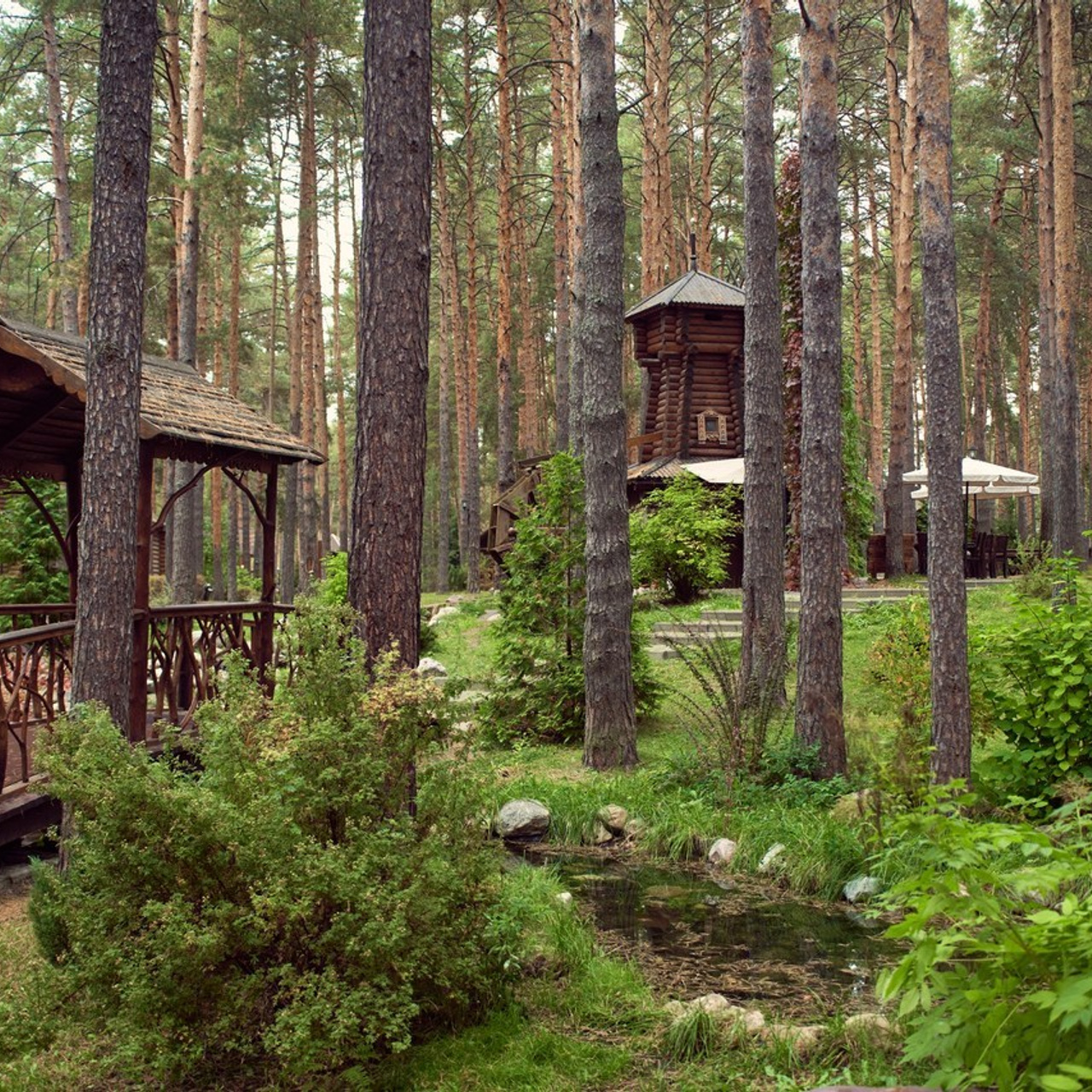Отзывы. Фотограф Сергей Караваев Москва и МО