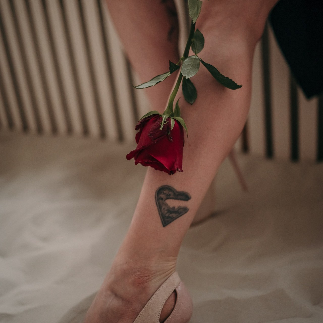 Отзывы. Фотограф в Санкт- Петербурге Мария Золотарь