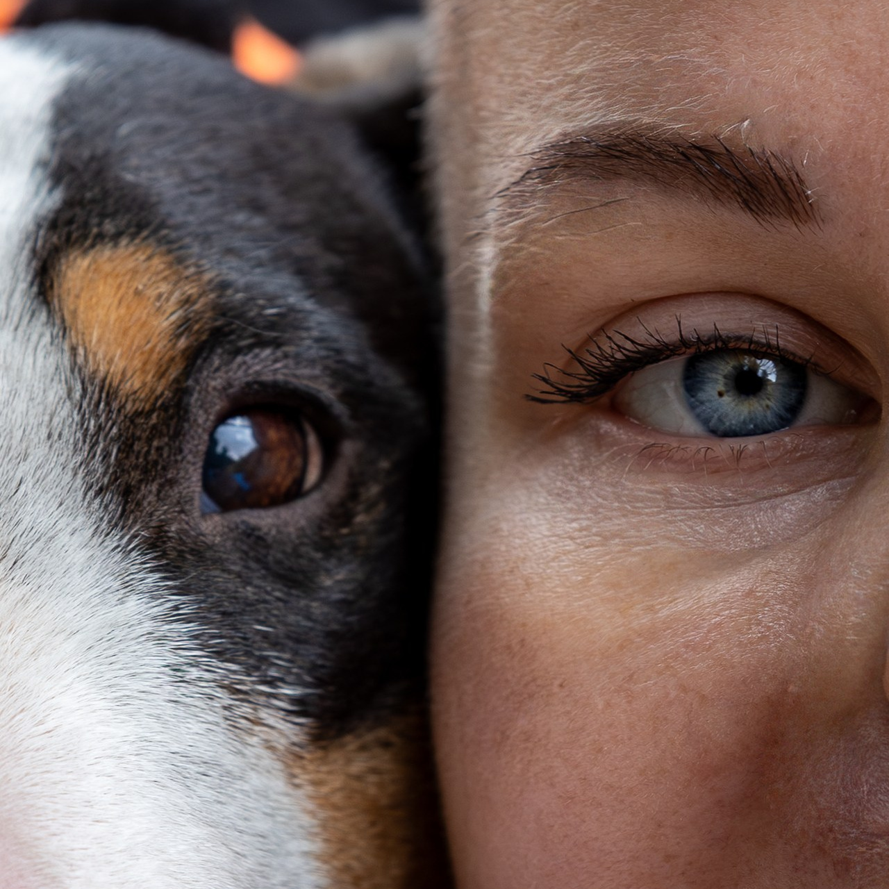 Отзывы. Репортажная, студийная, свадебная, автоспорт, коммерческая, фотосессия: Фотографы Николай и Елена DvoTar