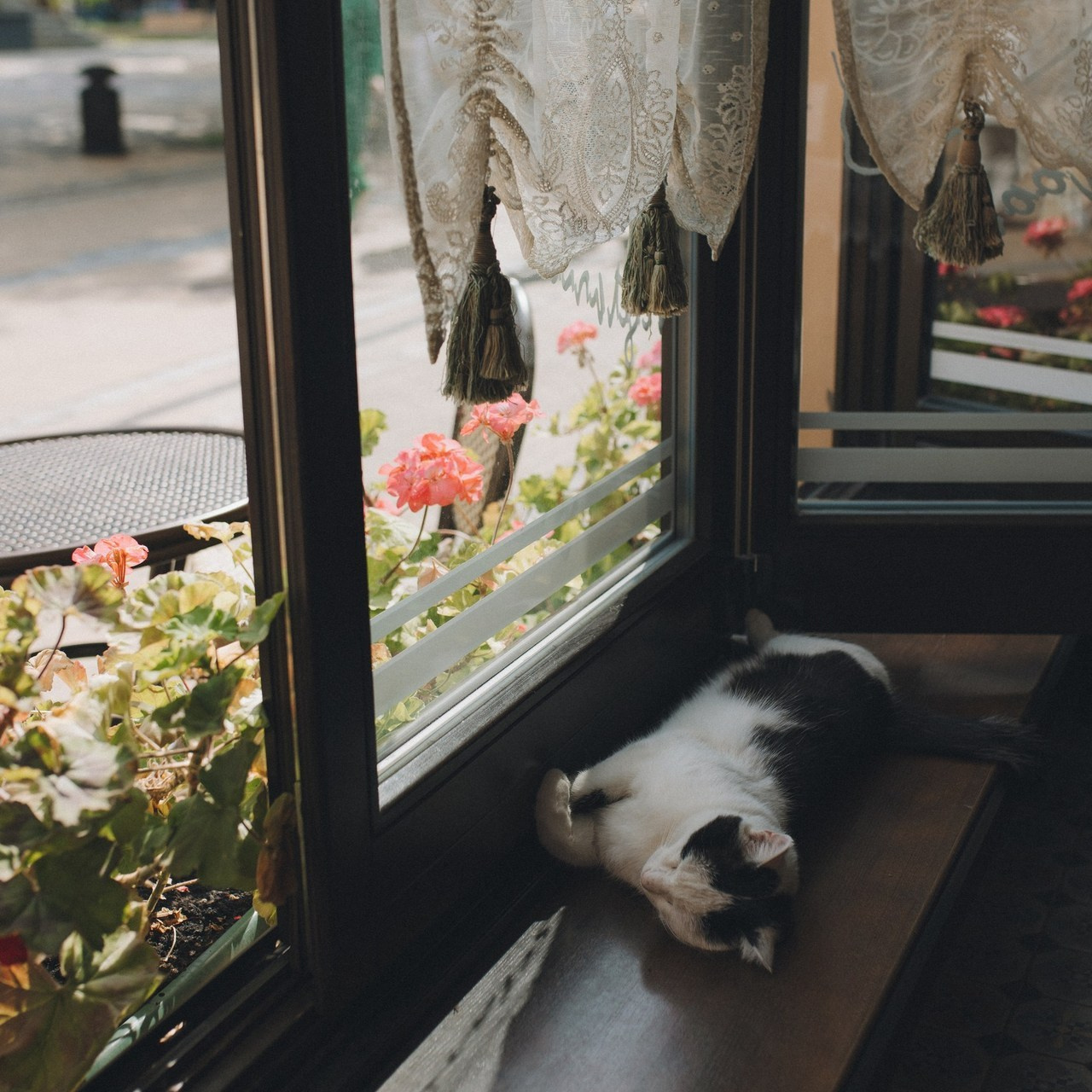 Отзывы фотограф Зеленоградск. Фотограф Зеленоградск Красильникова Елена