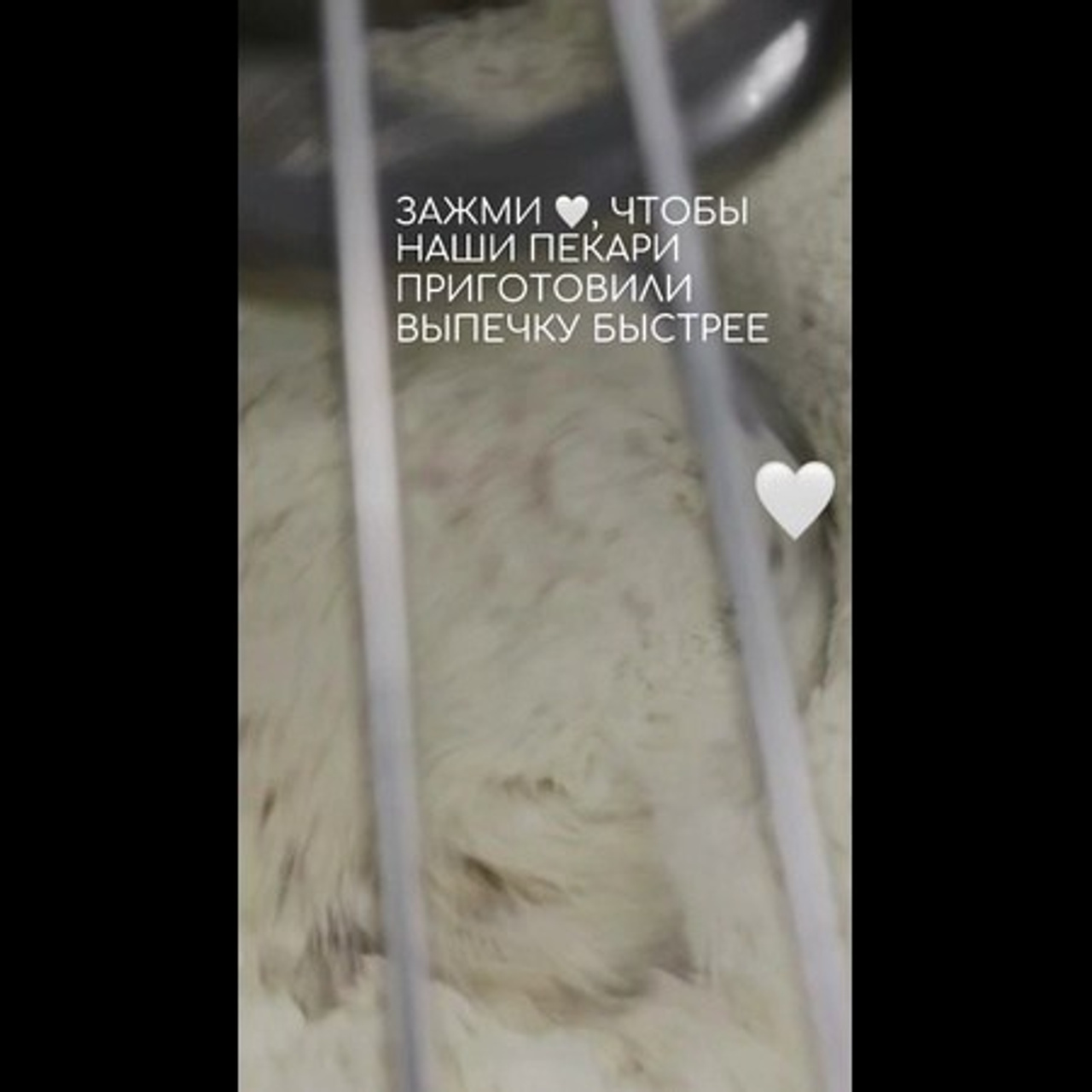 Пекарня (съемка на производстве). Фуд-фотограф и SMM в Москве