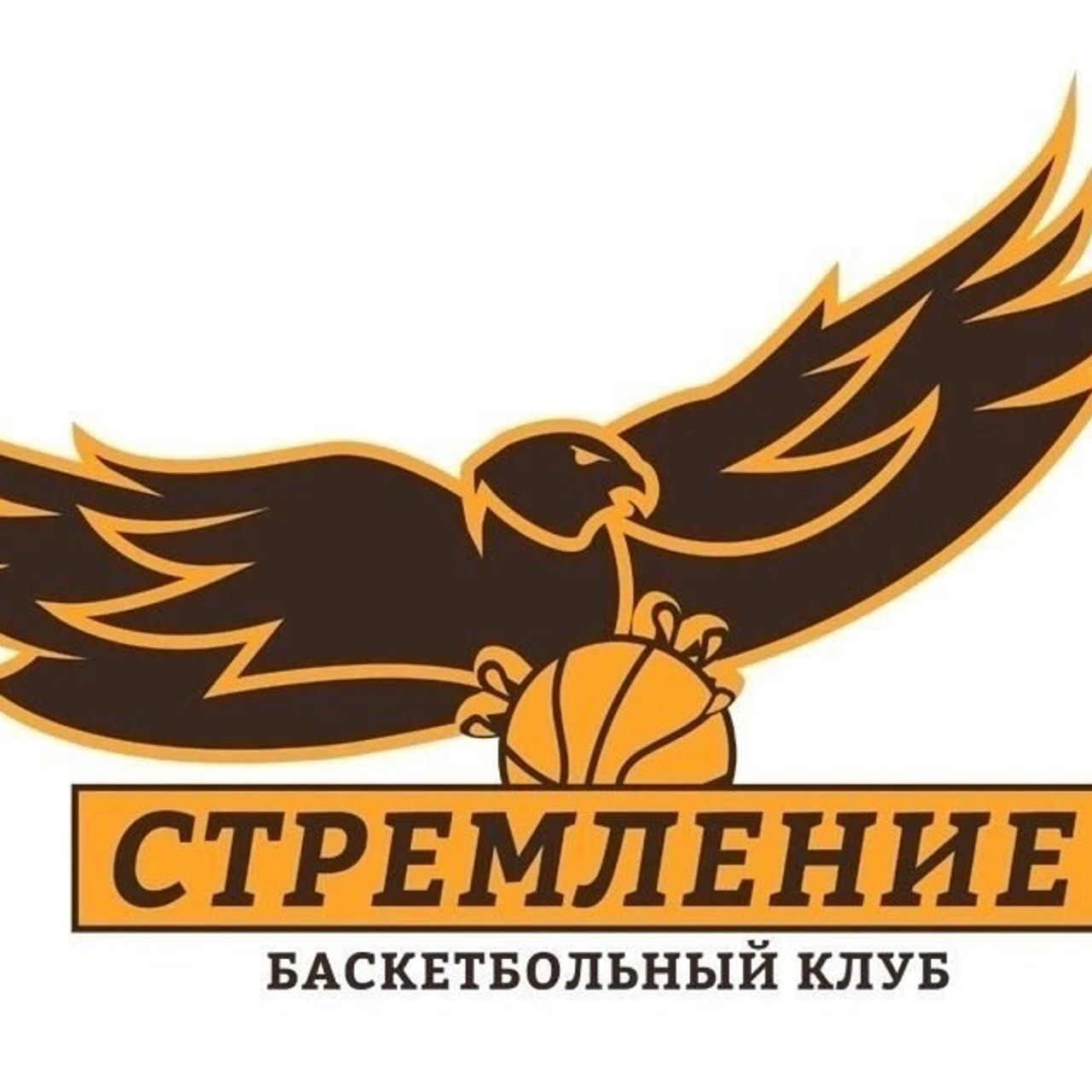 Баскетбольный клуб «Стремление»