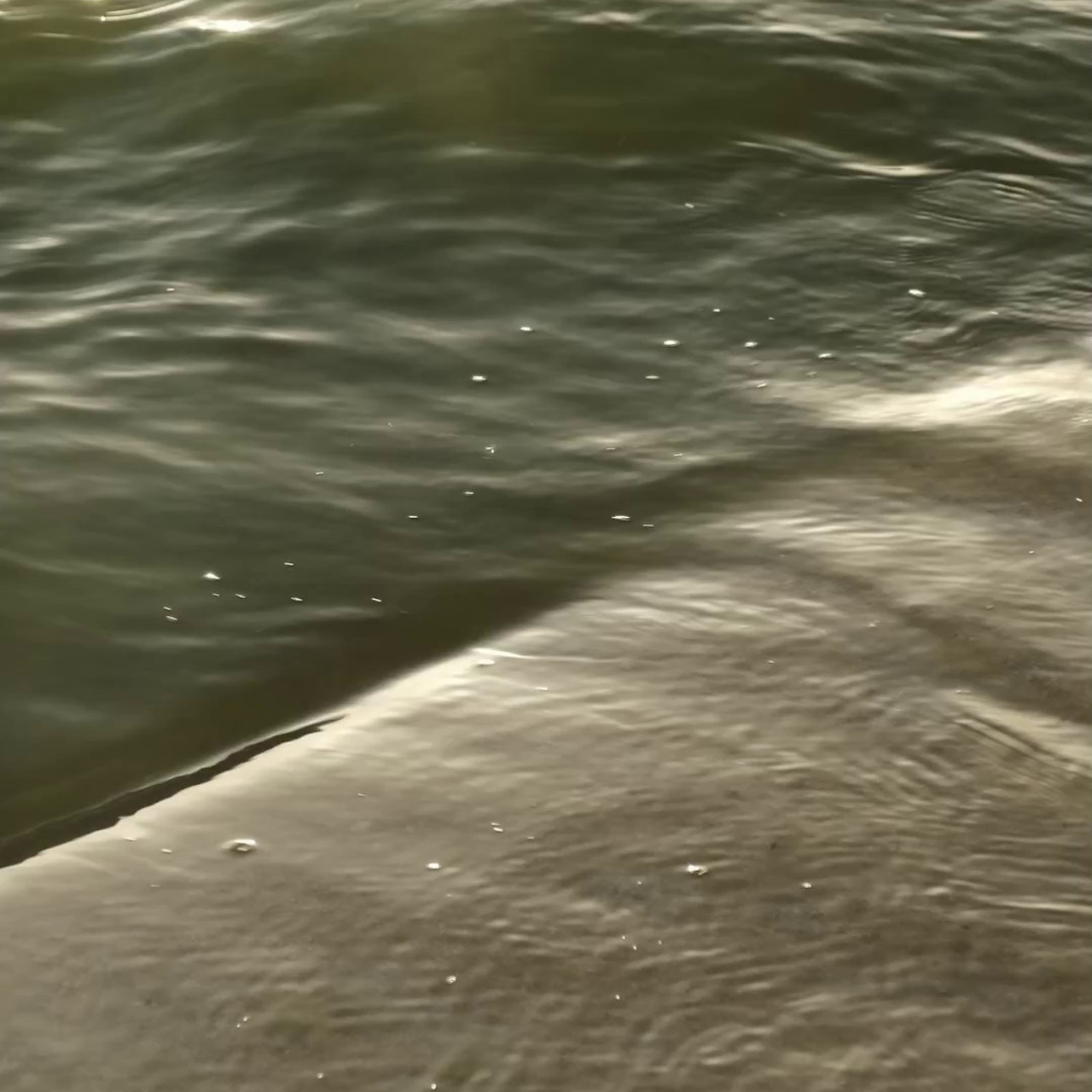 Отзывы. Фотограф и Видеограф Анапа, Новороссийск, Краснодар. Алина и Женя