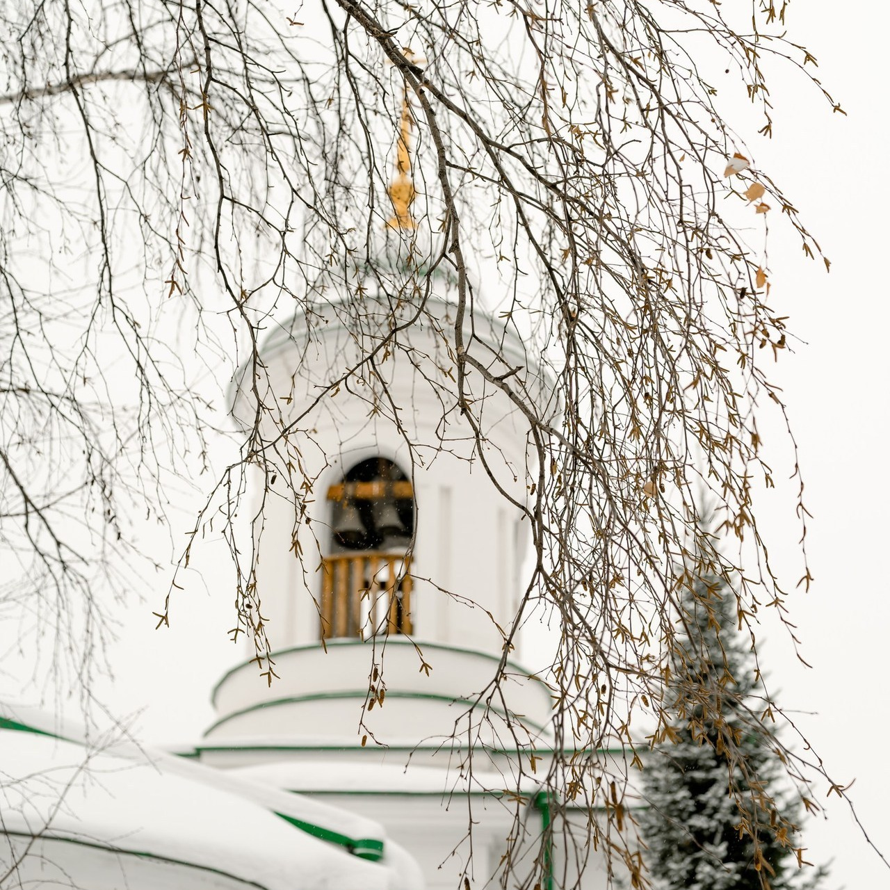 Отзывы. Свадебный фотограф Тюмень / Санкт — Петербург Миронова Наталия