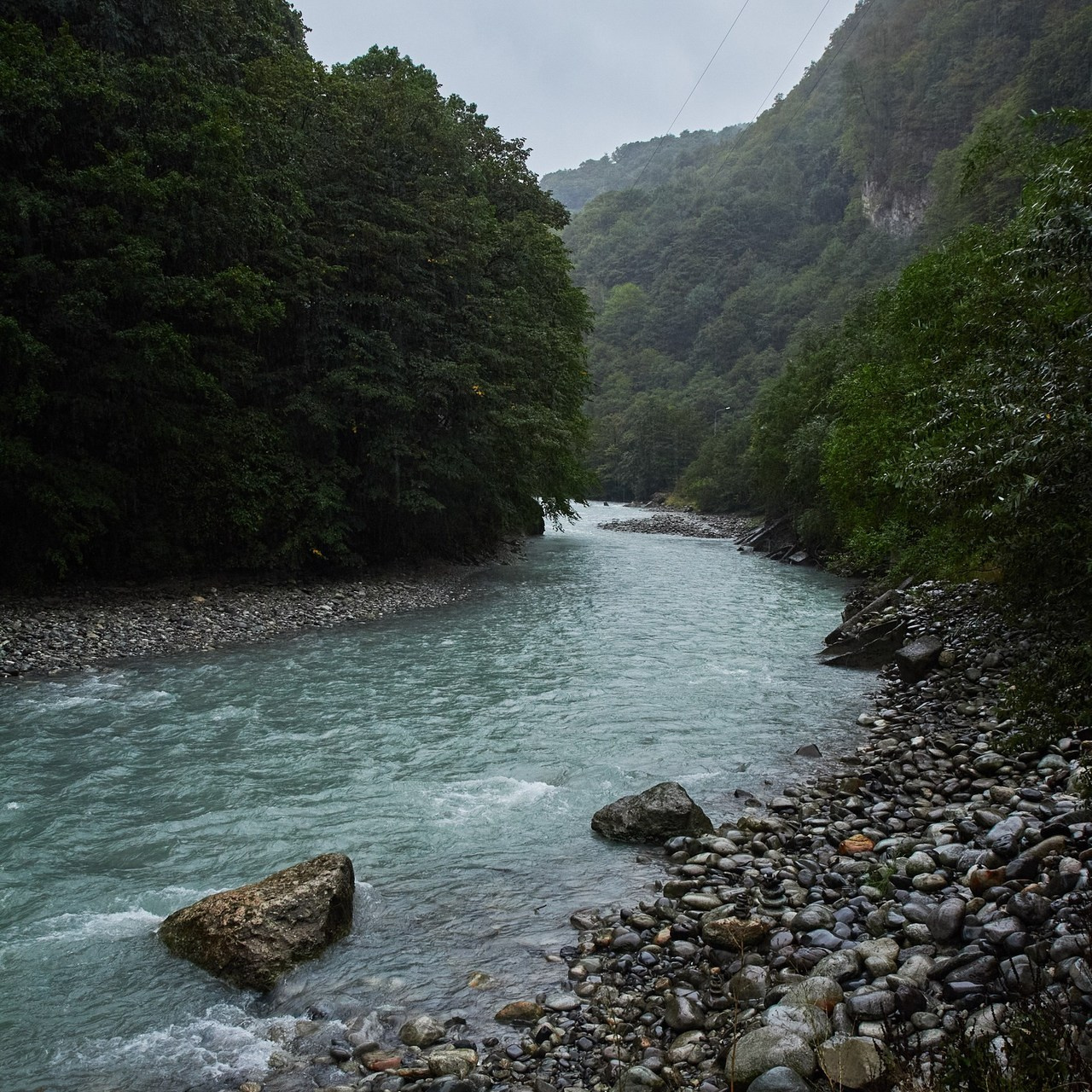 Отзывы. Репортажный фотограф | Леонид Черков