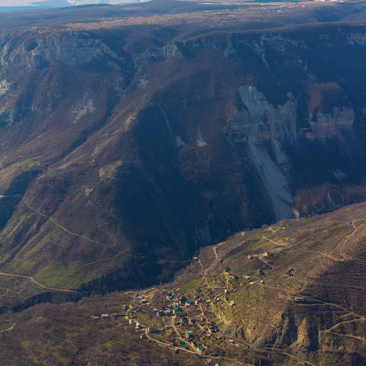 Отзывы. Репортажный фотограф | Леонид Черков
