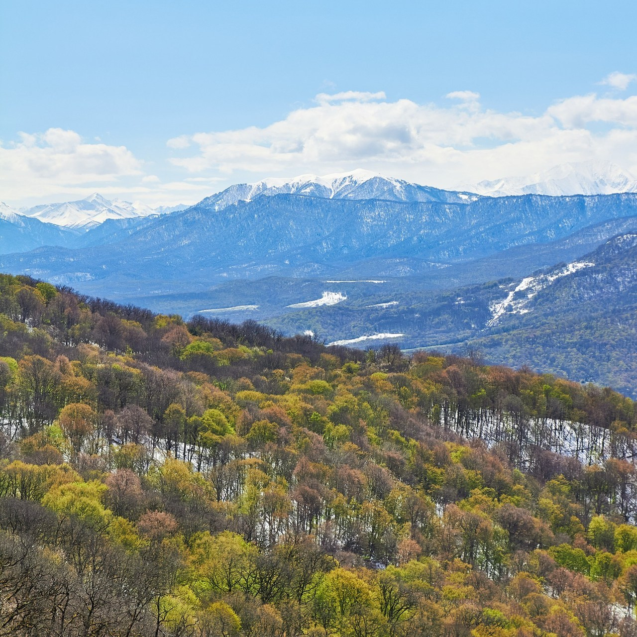 Отзывы. Репортажный фотограф | Леонид Черков