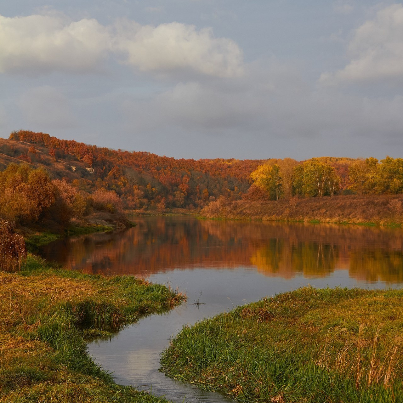 Отзывы. Репортажный фотограф | Леонид Черков