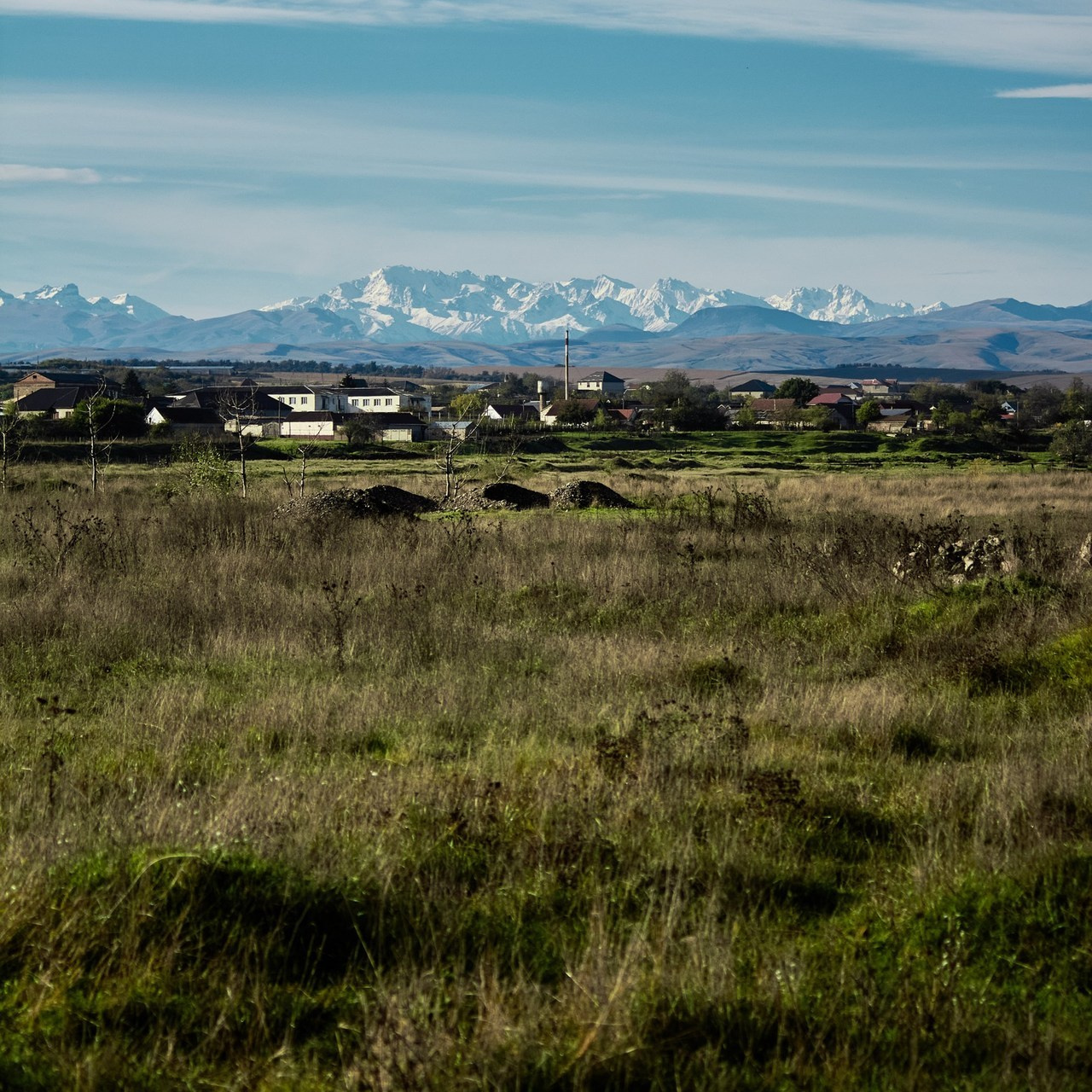 Отзывы. Репортажный фотограф | Леонид Черков