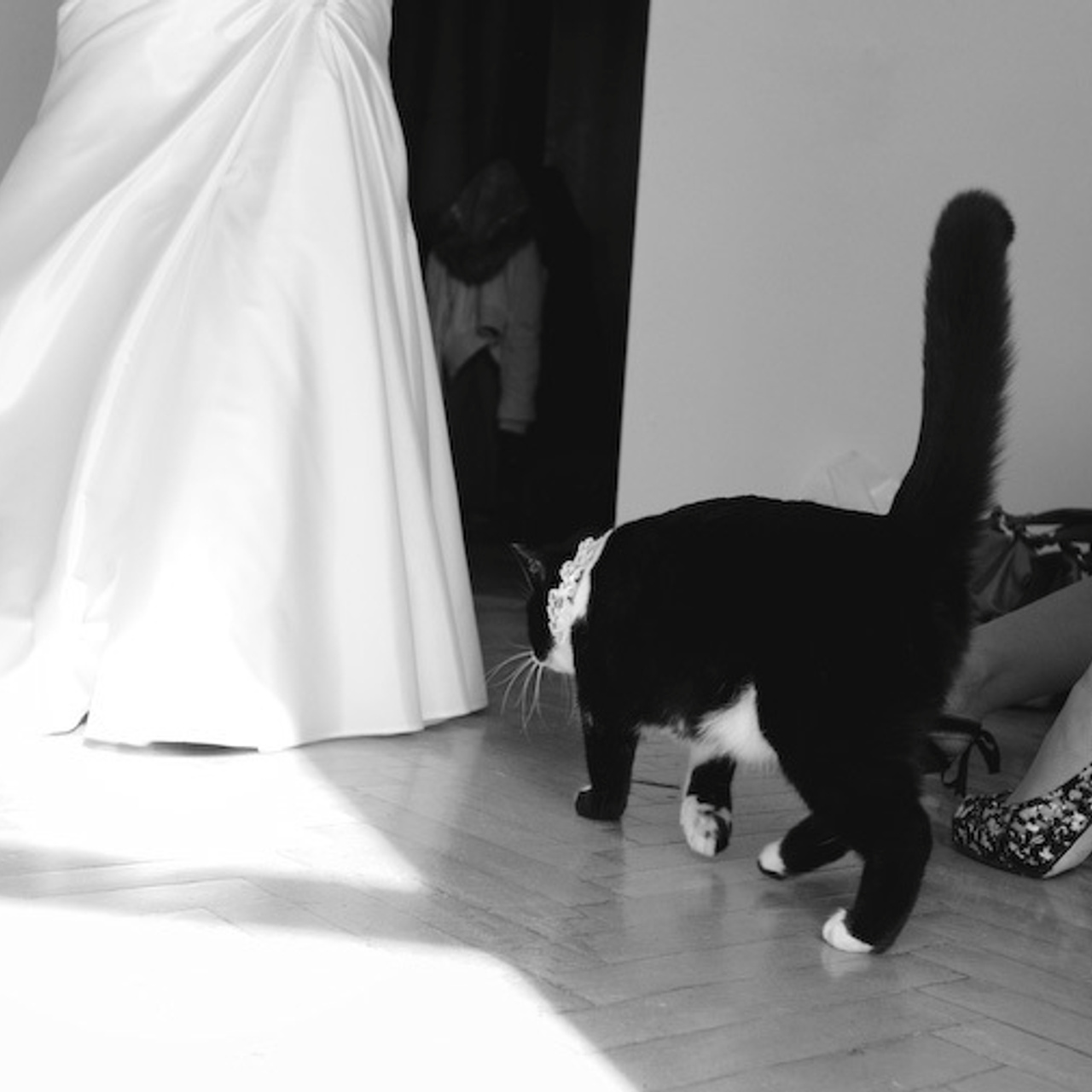 Андрей и Ольга. Свадебный фотограф Москва Альберт Хаиров